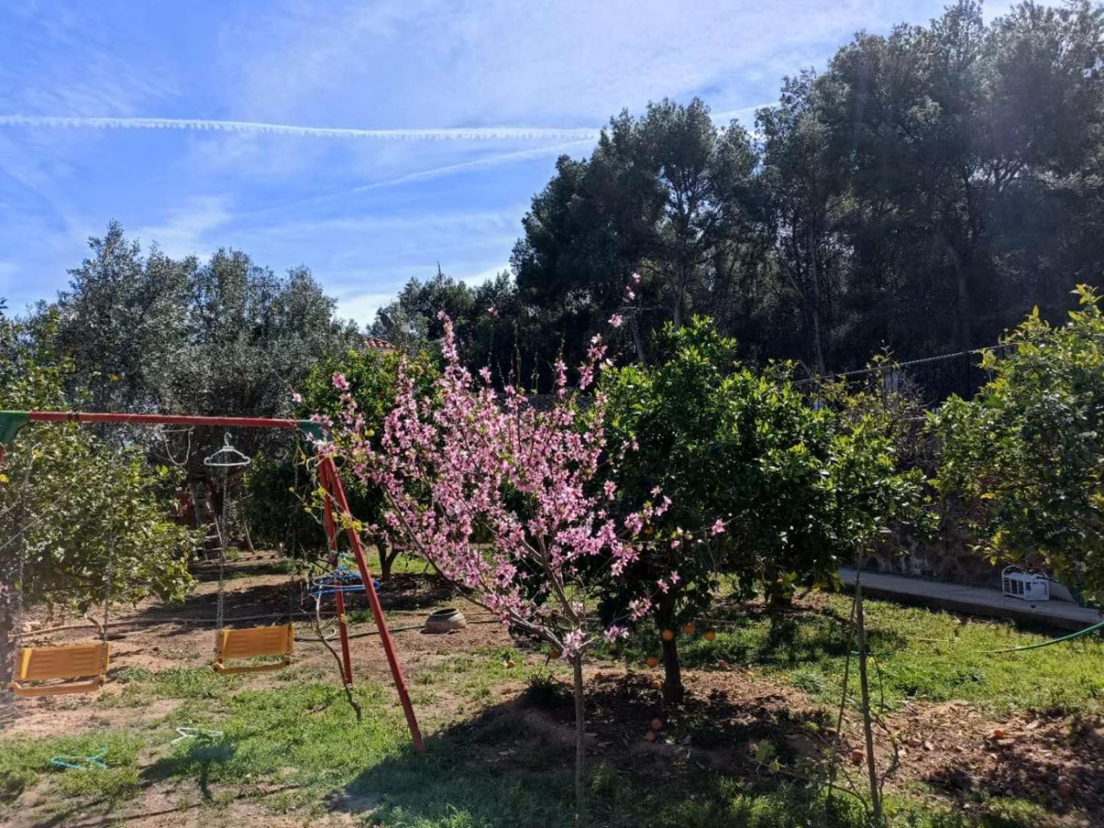 Bedroom With Private Bathroom And Two-Bedroom Family Suite In Quiet Forest Country House 80M2 Large Swimming Pool Music Town Lliria The Garden And Swimmingpool And Garden Are Shared Buitenkant foto